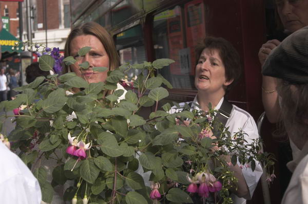 Picture &copy; Peter Marshall, 2004