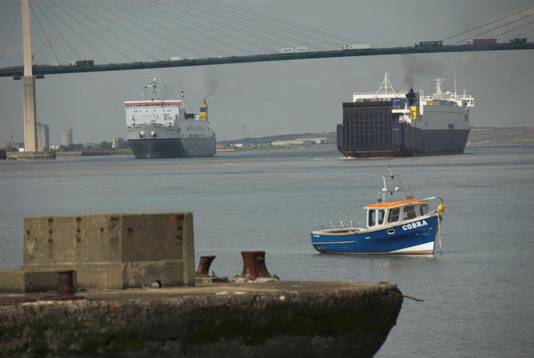 Greenhithe + Swanscombe Marshes &copy; 2006, Peter Marshall