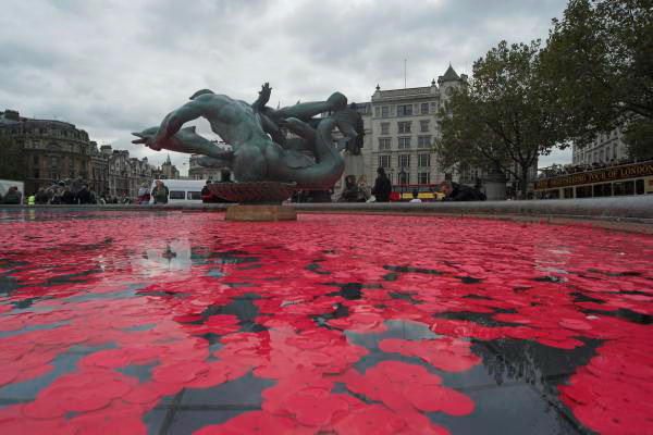 Poppies in the Fountains &copy; Peter Marshall, 2006