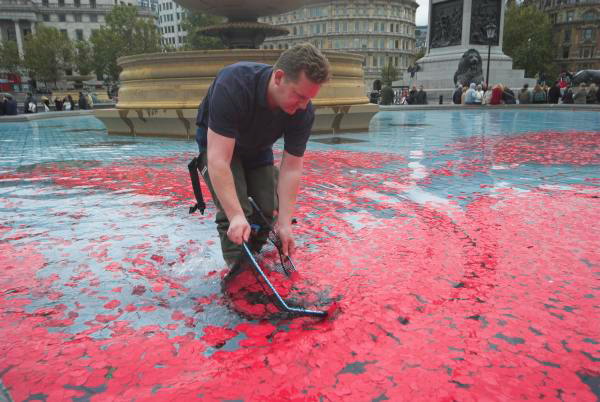 Poppies in the Fountains &copy; Peter Marshall, 2006