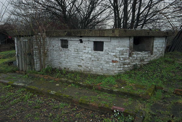 Manor Garden Allotments, Hackney Wick &copy; Peter Marshall, 2007