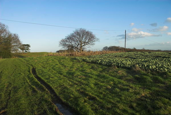 London Loop: Chigwell to Harold Wood &copy; Peter Marshall. 2007