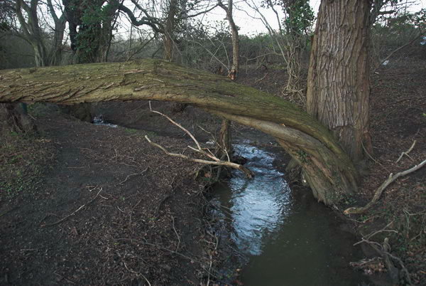 London Loop: Chigwell to Harold Wood &copy; Peter Marshall. 2007